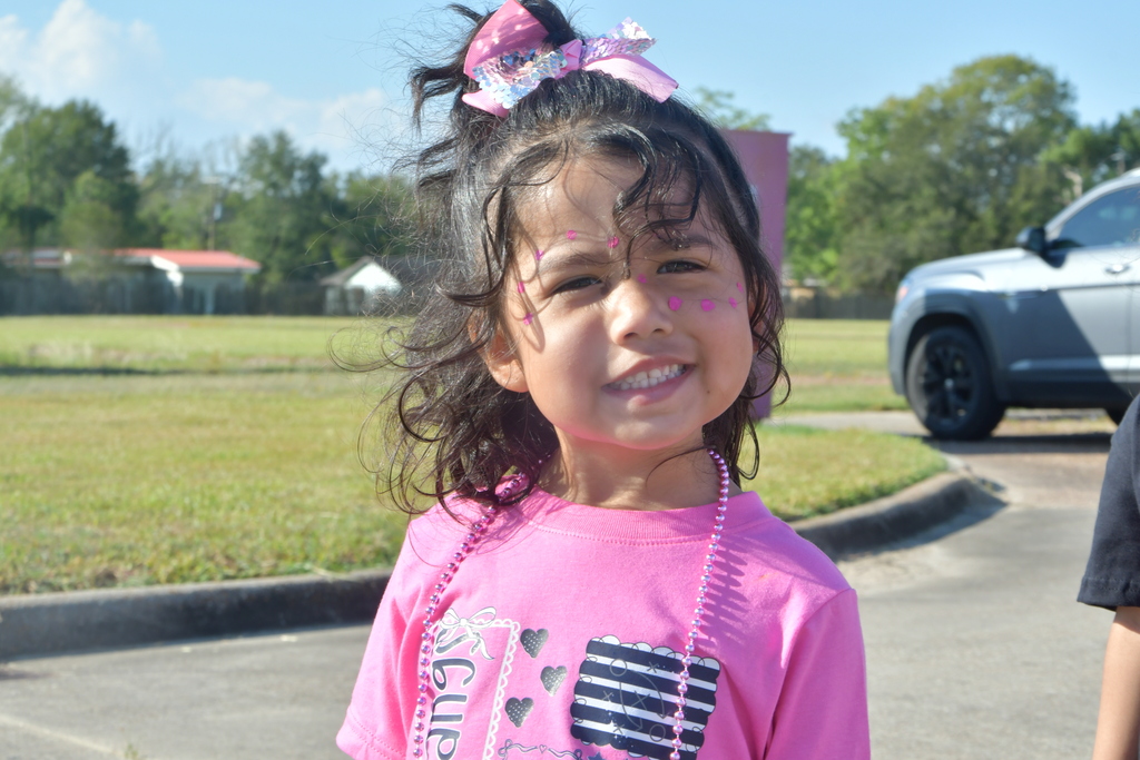 Little girl with pink facepaint posing for a picture