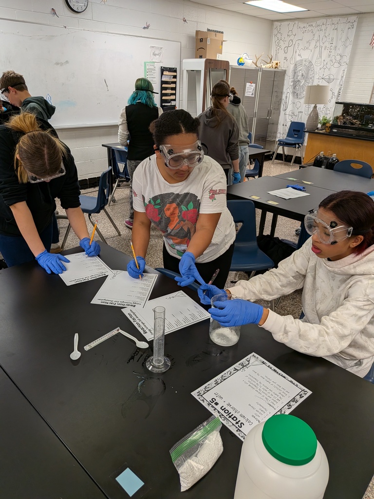 Students working in Teams