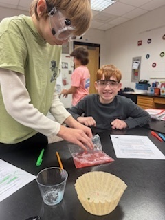 Students  working with Strawberry DNA sample