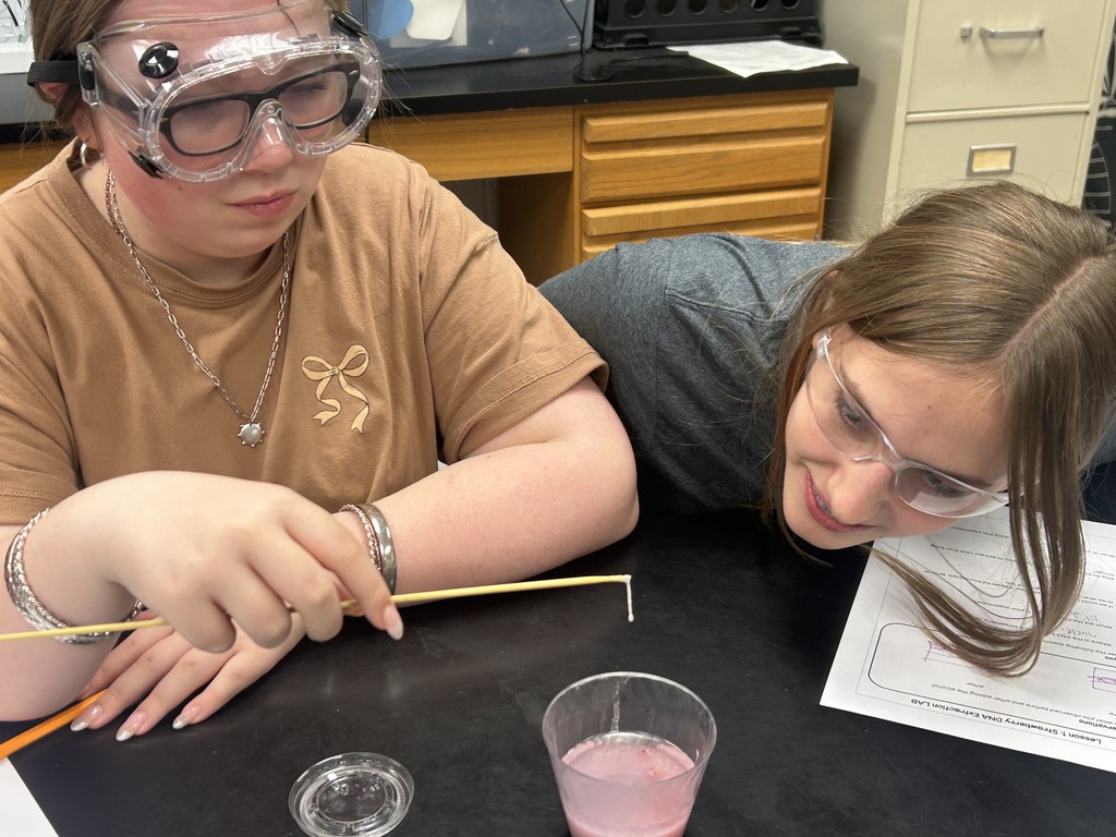 Students  working with Strawberry DNA sample