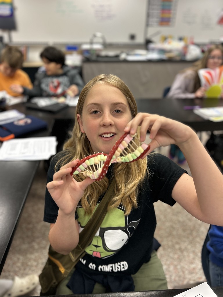student's DNA model using marshmallows and Twizzlers