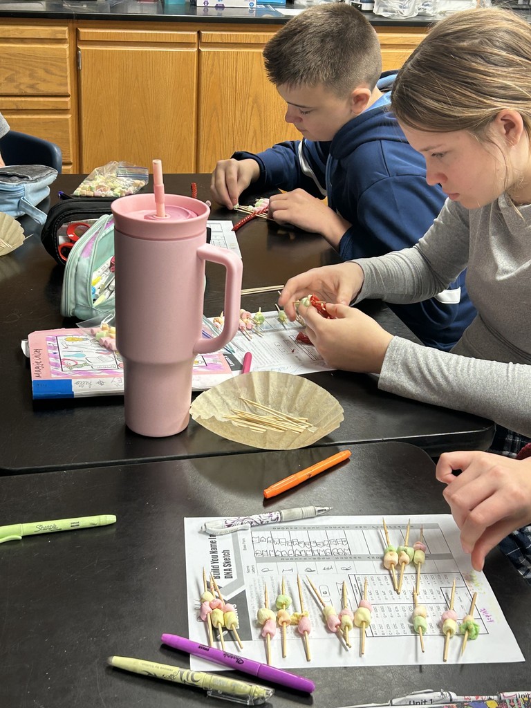 student's building DNA model using marshmallows and Twizzlers