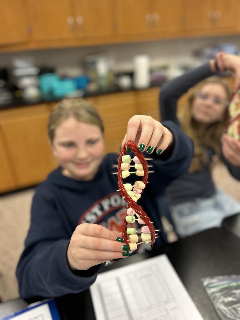 student's DNA model using marshmallows and Twizzlers