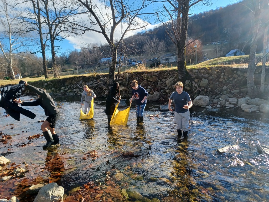 cleaning up the stream