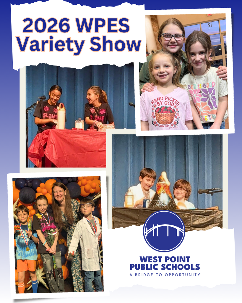 variety show