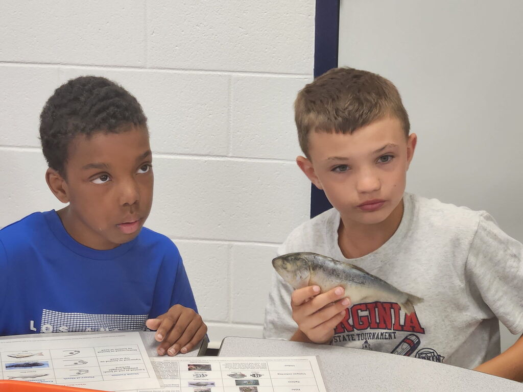 Summer Camp Academy!