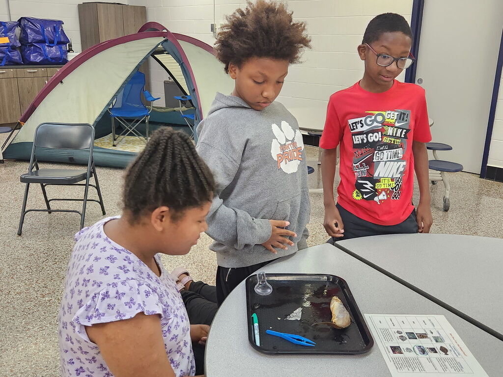 Summer Camp Academy!