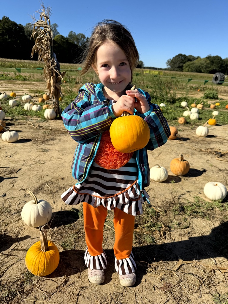 A young girl smiling while holding a small orange pumpkin in a sunny field scattered with white and orange pumpkins