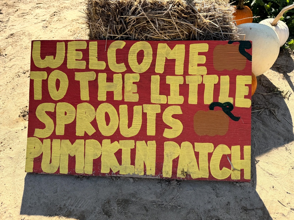 Hand-painted wooden sign reading "Welcome to the Little Sprouts Pumpkin Patch" sitting on the ground next to hay bales and white pumpkins.