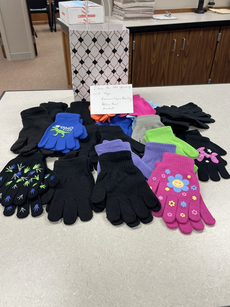 American Legion Auxiliary donation of gloves