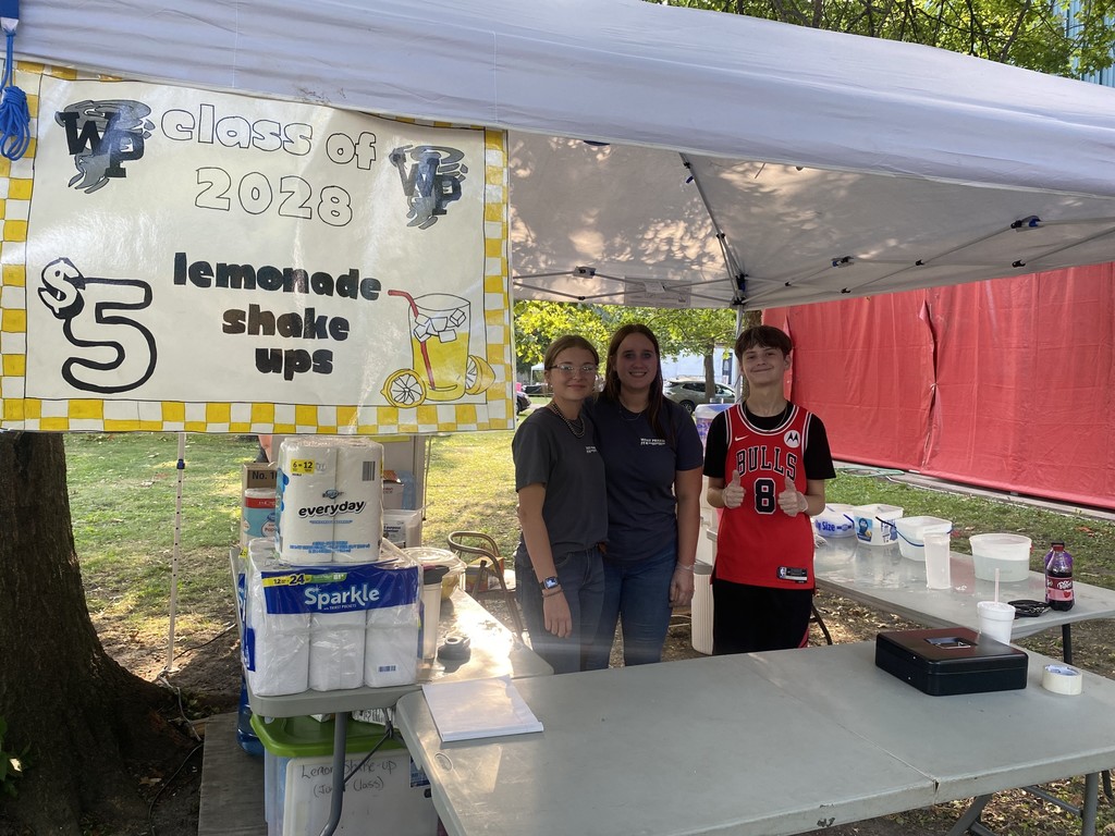 Lemonade Shake Ups