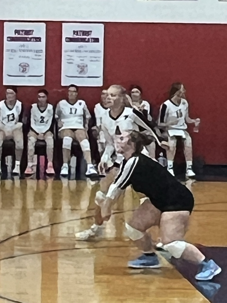 VB