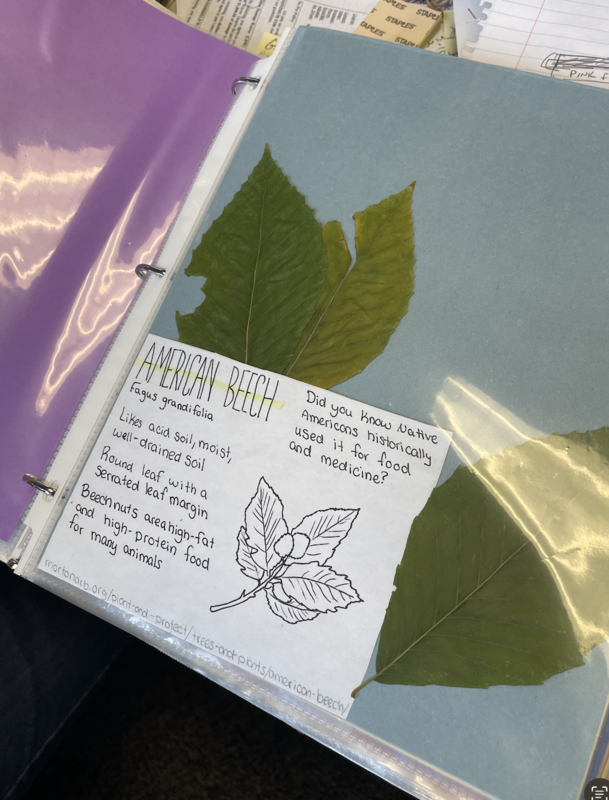A book with examples of leaves