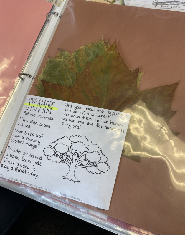 A book with examples of leaves