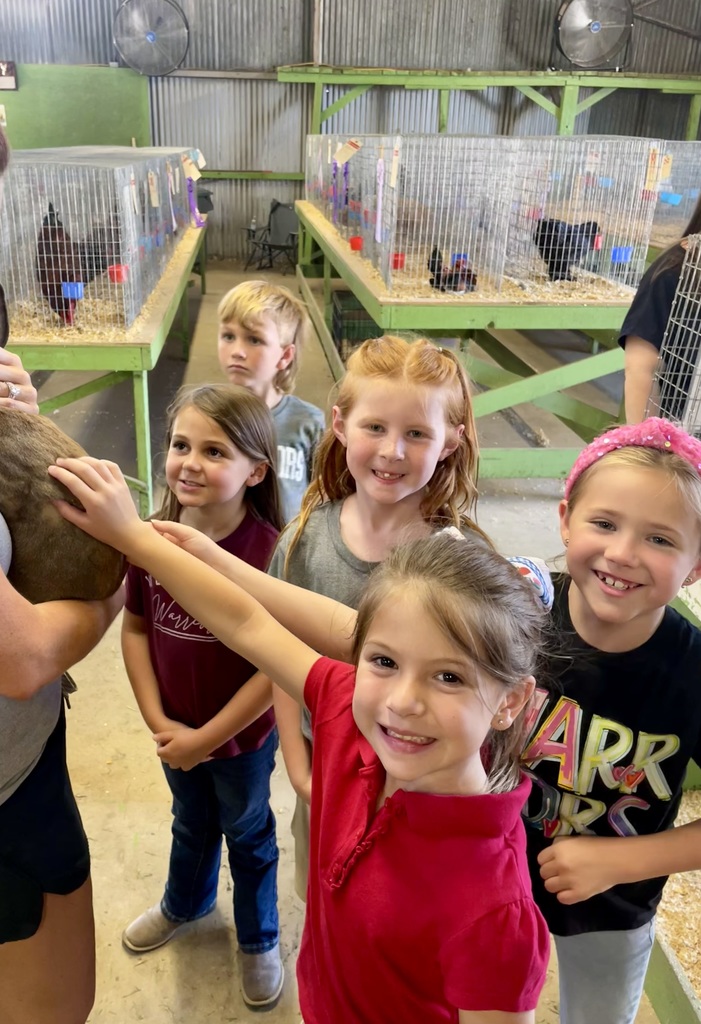 1st grade girls pet animals at the fair