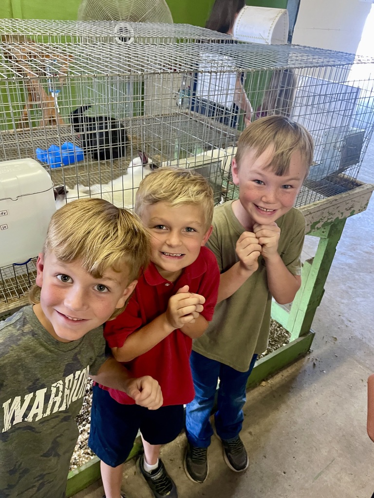 1st grade boys excited at fair