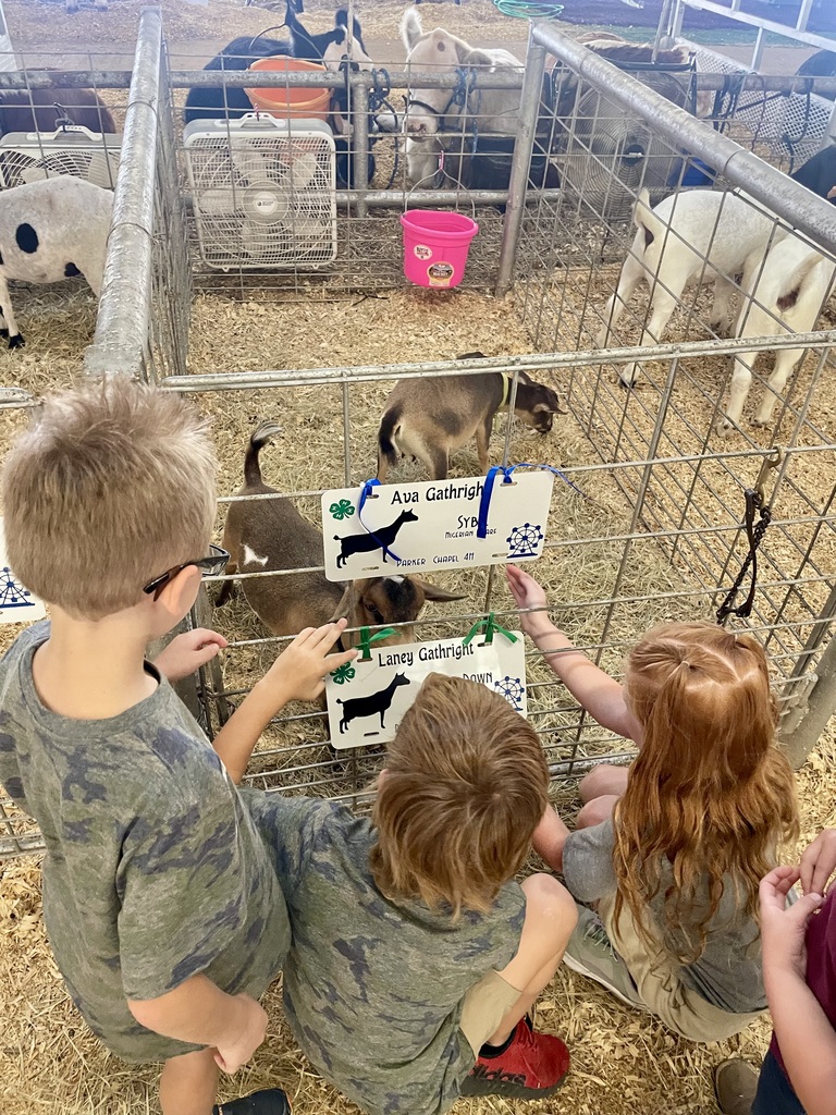 1st graders view animals at the fair