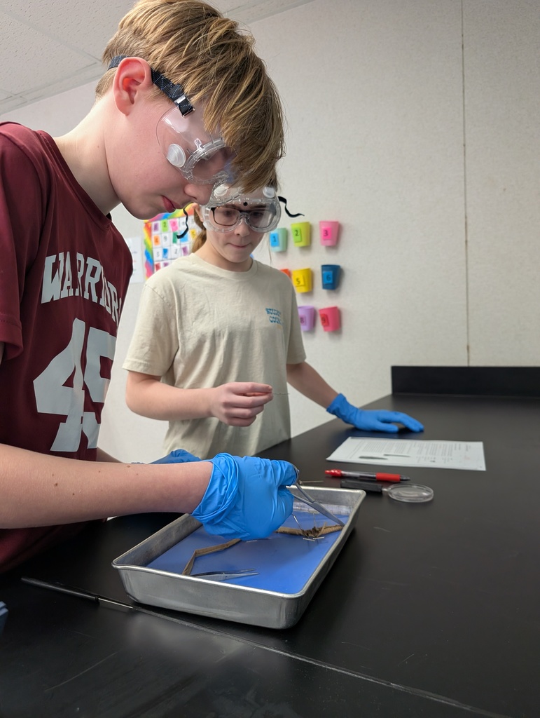 life science worm dissectioon