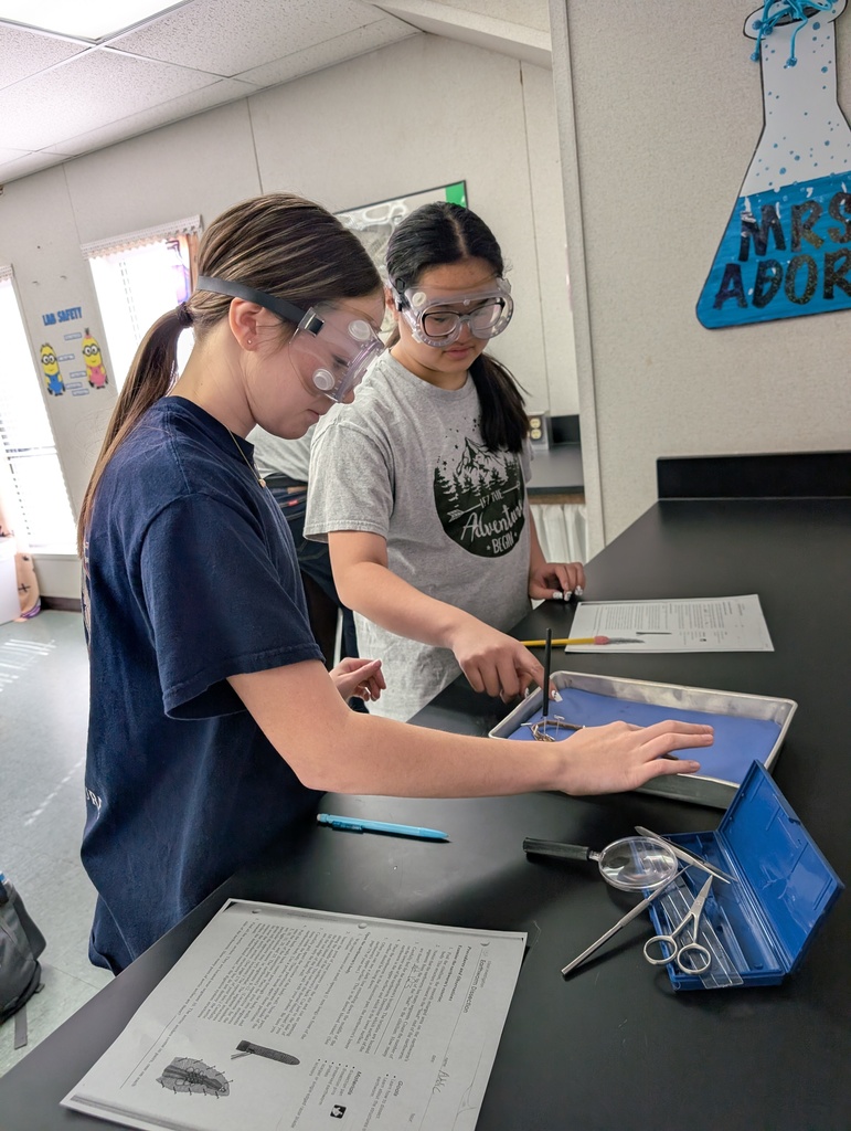 life science worm dissectioon