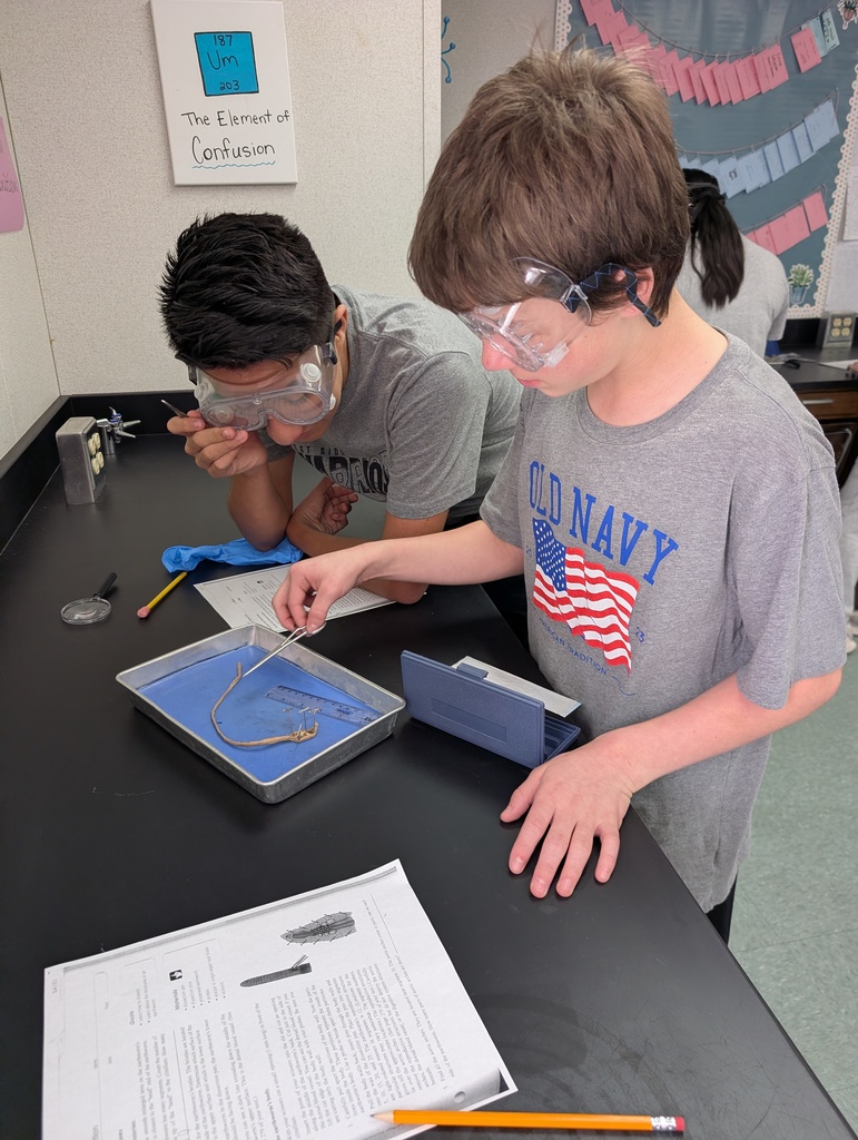 life science worm dissectioon