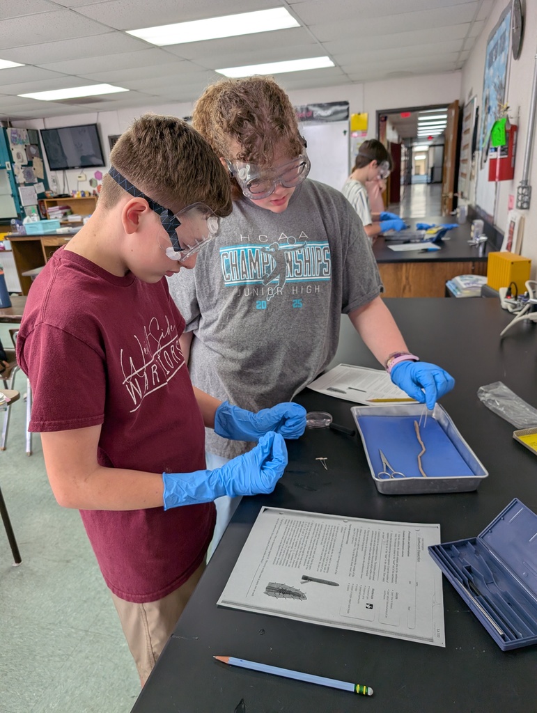 life science worm dissectioon