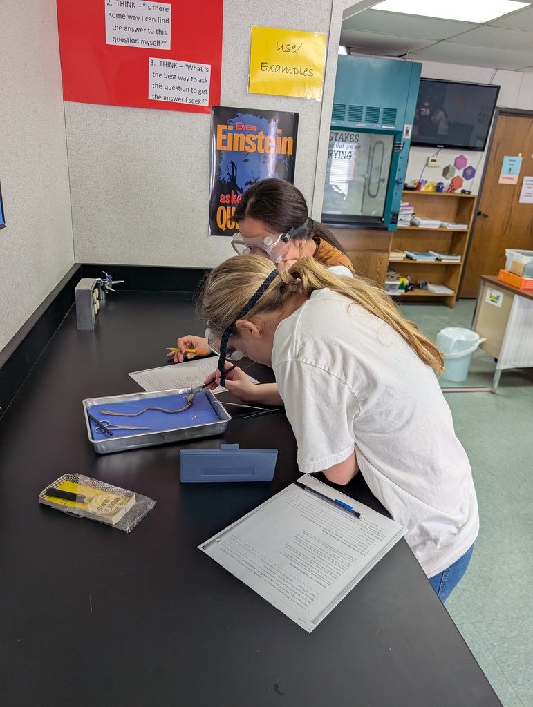 life science worm dissectioonlife science worm dissectioon