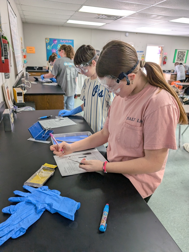 life science worm dissectioon