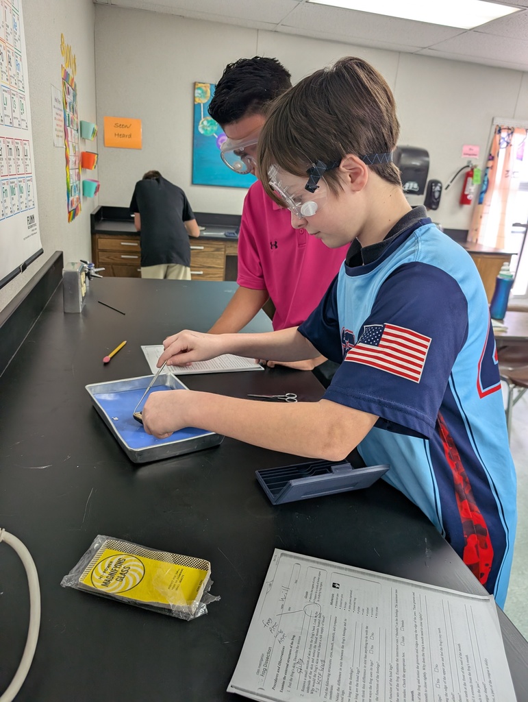 7th Grade students dissecting frogs