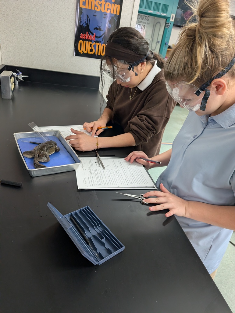 7th Grade students dissecting frogs
