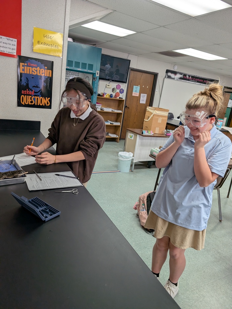 7th Grade students dissecting frogs