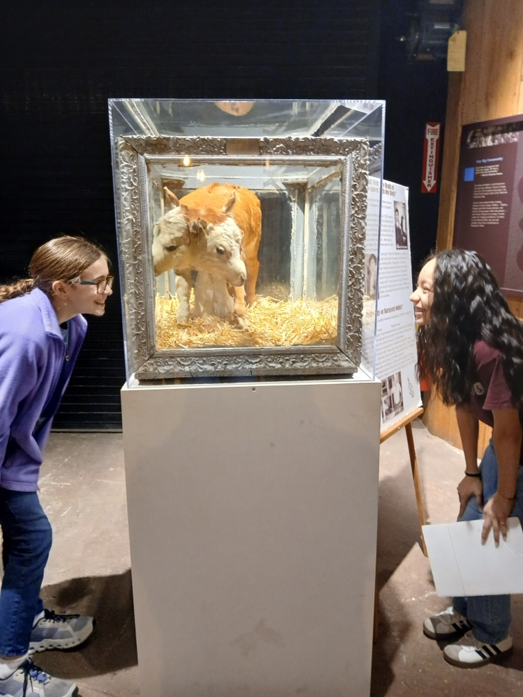 Junior high field trip