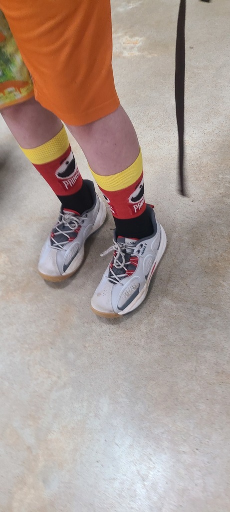 Fox in Socks