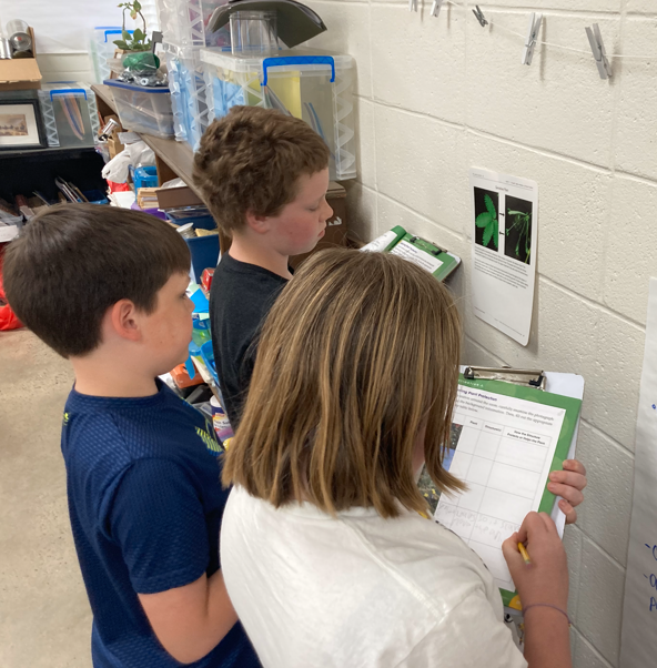 4th grade science