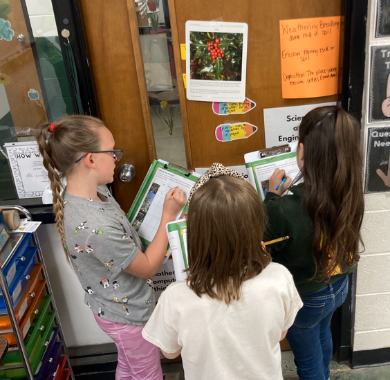 4th grade science