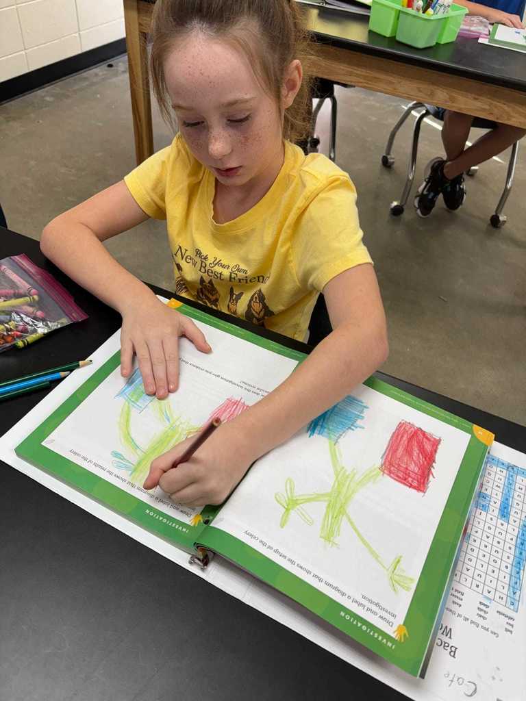 Miss Jessie's Science Class