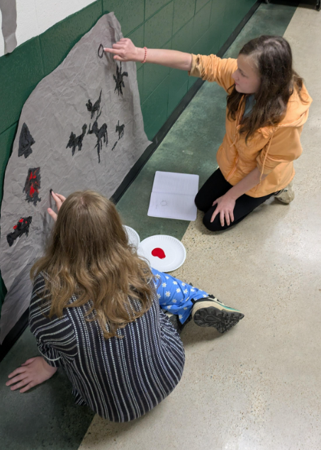 Petroglyph Paintings