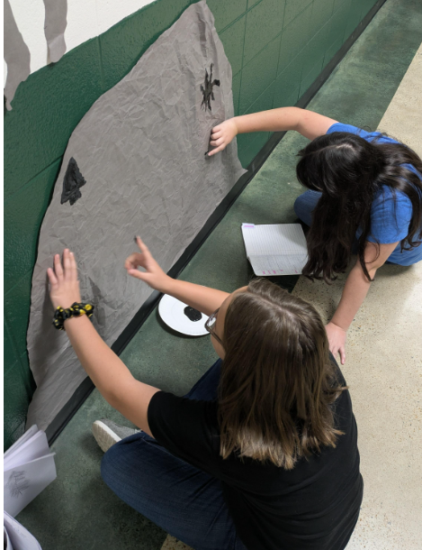 Petroglyph Paintings