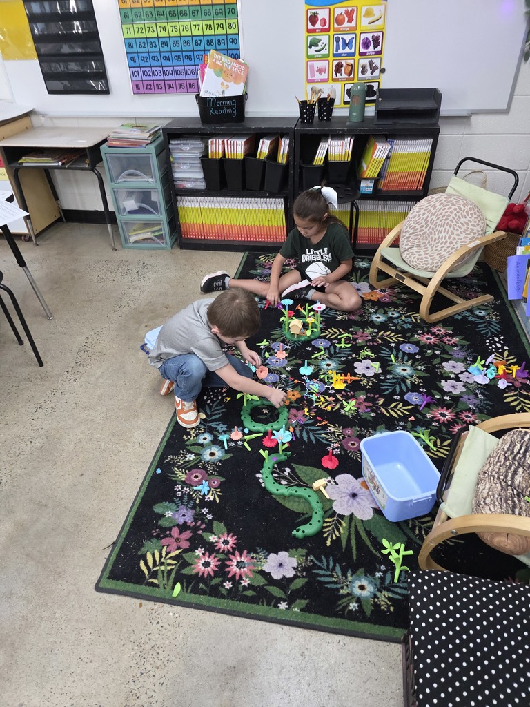 First Grade Fun Day