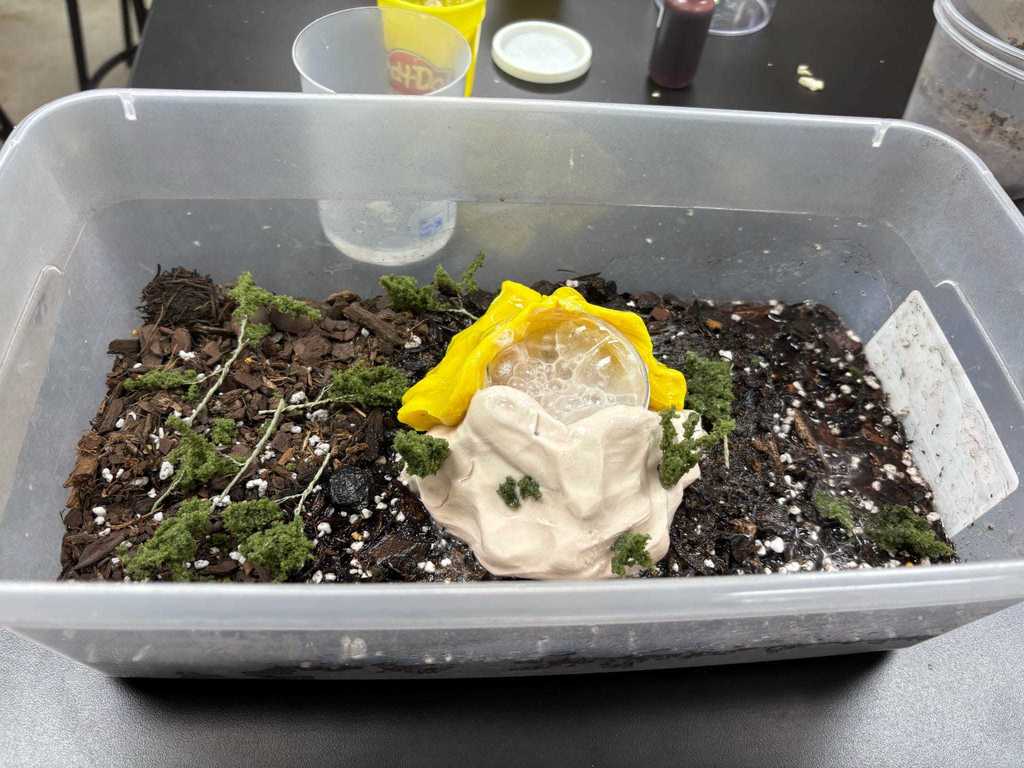 Miss Jessie's Science Class