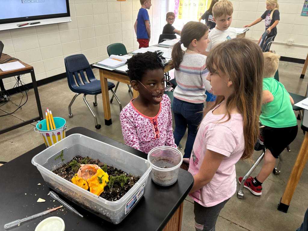 Miss Jessie's Science Class