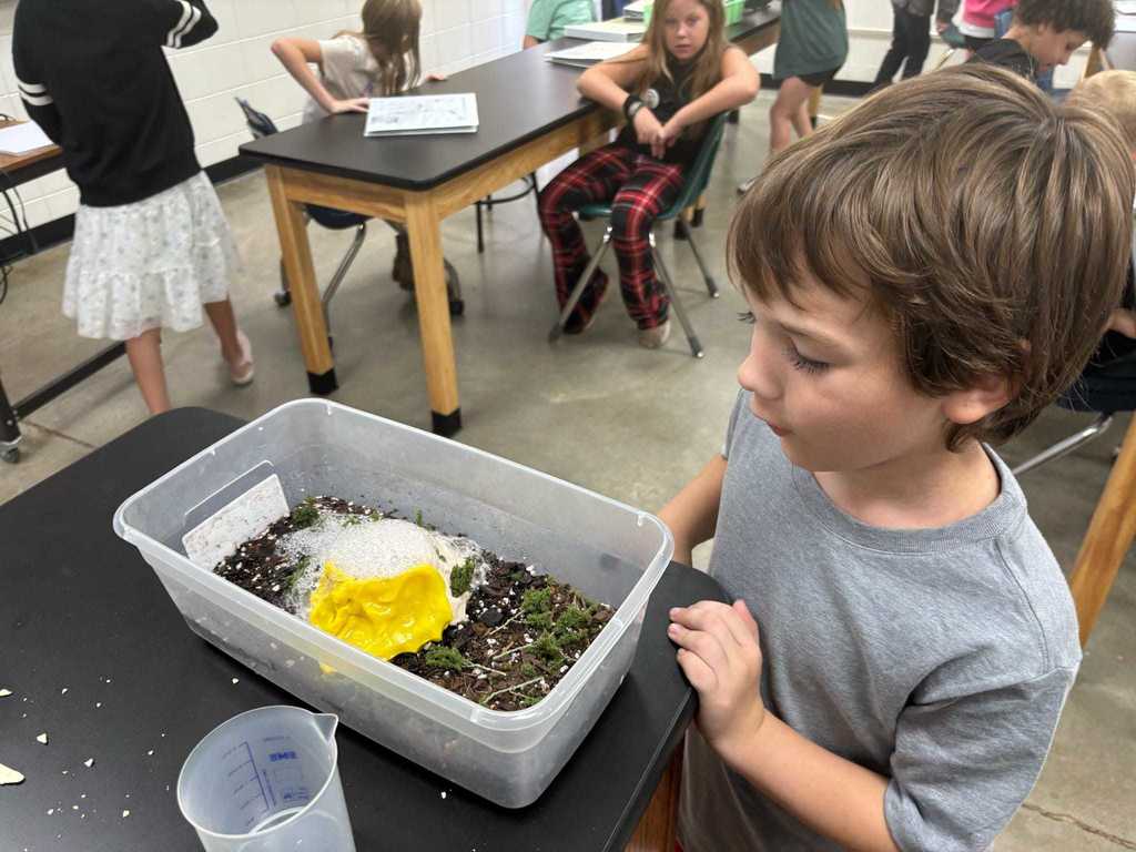 Miss Jessie's Science Class