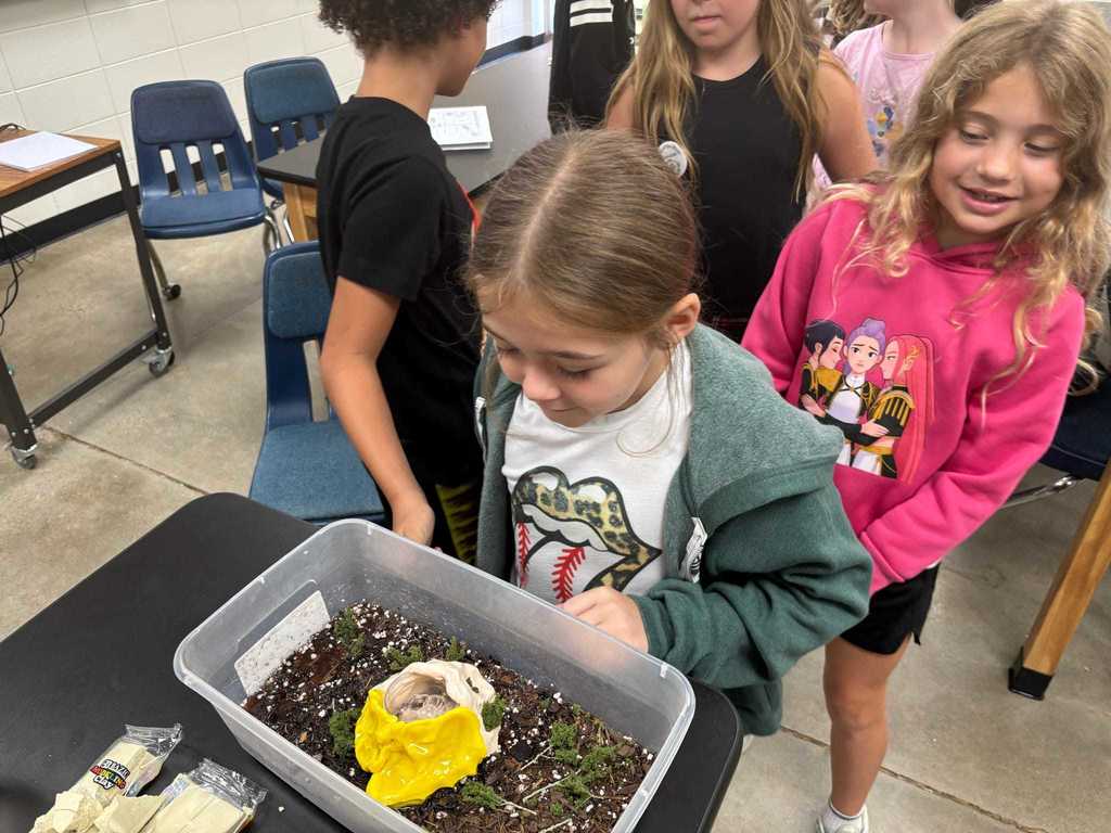 Miss Jessie's Science Class