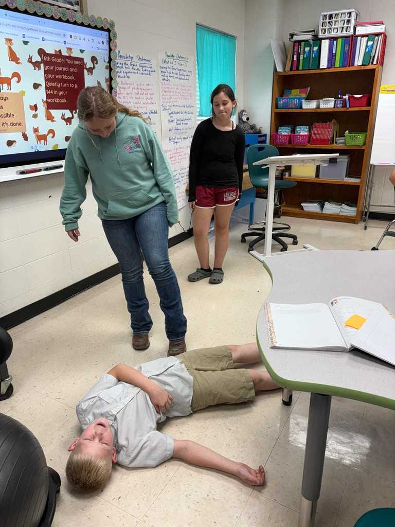 Mrs. Debbie's 6th grade