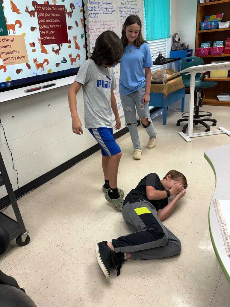 Mrs. Debbie's 6th grade