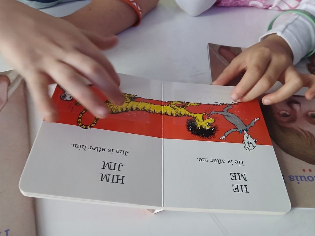 Mrs. Traci's 1st grade