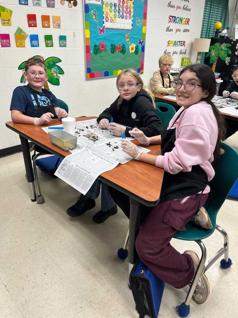 Mrs. Robin's Science