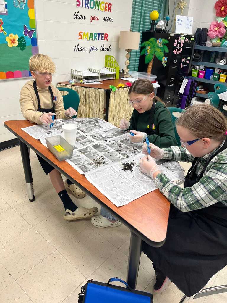 Mrs. Robin's Science