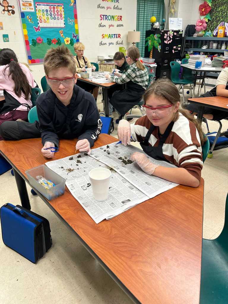 Mrs. Robin's Science