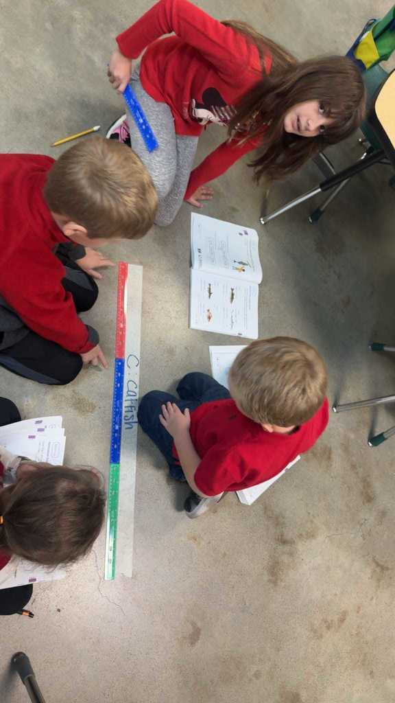 Mrs. Whitney's 2nd grade