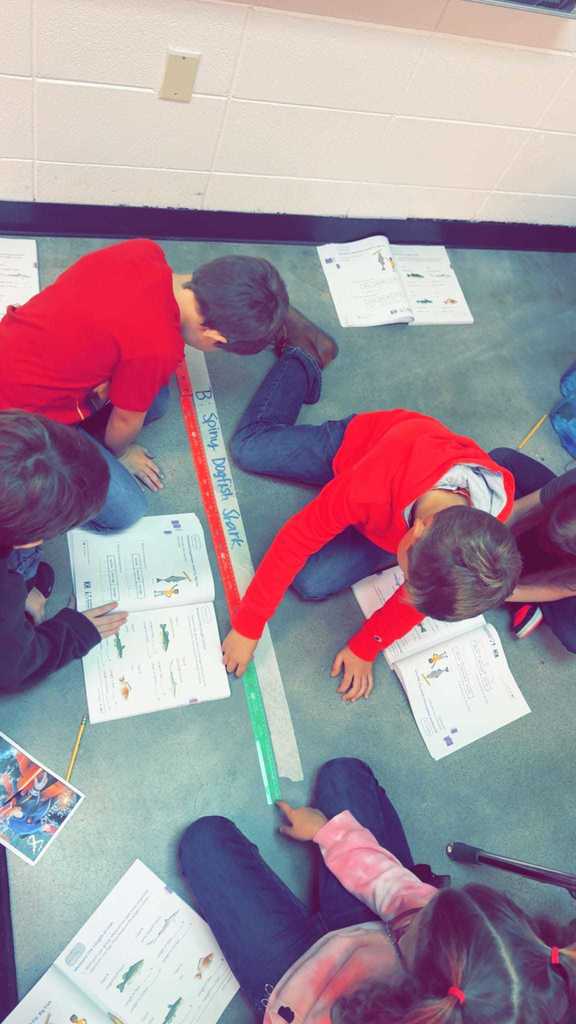 Mrs. Whitney's 2nd grade